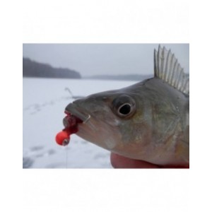 Mormyszka zwykła MZ35/1