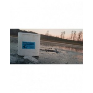 Pudełko termiczne P12