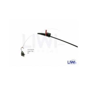 Kiwak Ławsan Stożek KL2/4