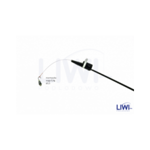 Kiwak Ławsan Stożek KL2/4