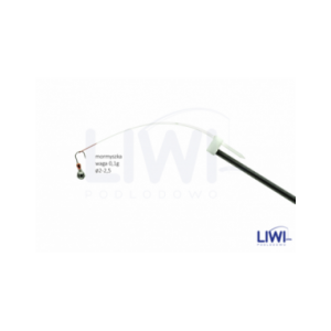 Kiwak „Kiwaki Mistrzów” KS2/5 sport