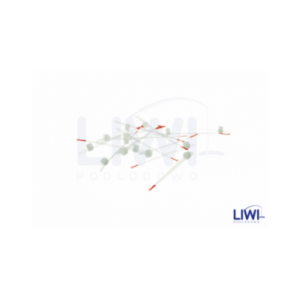 Kiwak „Kiwaki Mistrzów” KS2/5 sport