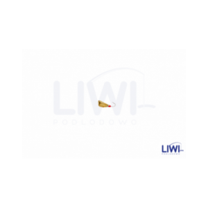 Mormyszka Dracena fluo MW7/1 wolfram