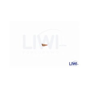 Mormyszka Dracena fluo MW7/1 wolfram