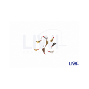 Mormyszka Dracena fluo MW7/1 wolfram