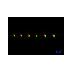 Mormyszka Ikra MWY9/1 sport