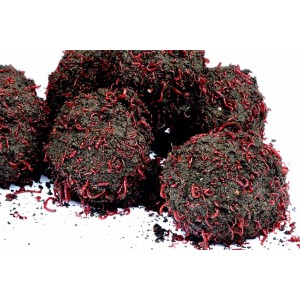 Ziemia Bełchatowska 1,8 kg