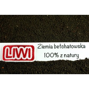 Ziemia Bełchatowska