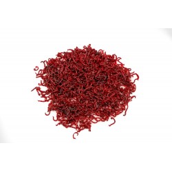 copy of Zawodnicza Ochotka Wędkarska