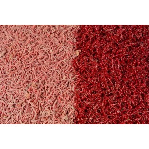 copy of Zawodnicza Ochotka Wędkarska