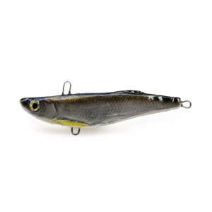 Cykada Boleniowa KS7