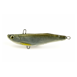 Cykada Boleniowa KS7