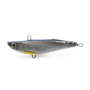 Cykada Boleniowa KS7