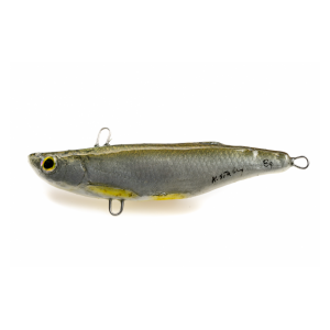 Cykada Boleniowa KS7