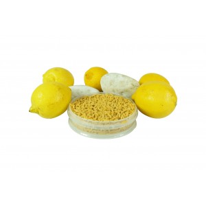 Pinka żółta PIN Ż