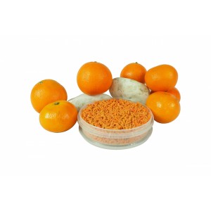 Pinka Pomarańczowa PIN P