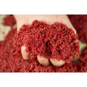 Ochotka zanętowa Jokers 500g