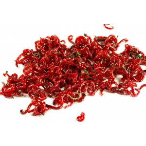 Zawodnicza Ochotka Wędkarska 100g