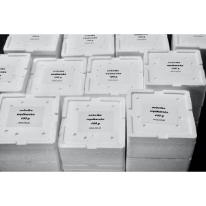 Zawodnicza Ochotka Wędkarska 100g