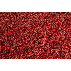 Zawodnicza Ochotka Wędkarska 500g