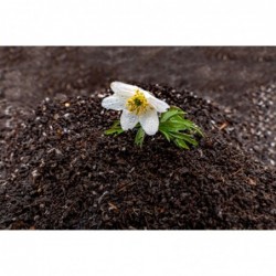 Biohumus 1000L (1m3)