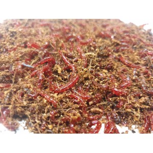 copy of Włókno Kokosowe 0,5 kg (ok. 5l)