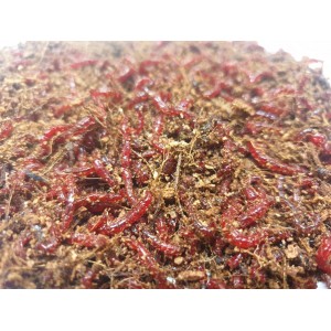 copy of Włókno Kokosowe 0,5 kg (ok. 5l)