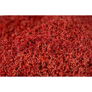 copy of Ochotka zanętowa Jokers eng