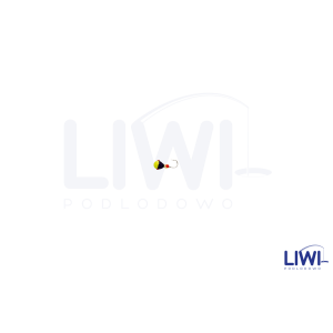 Mormyszka Kulka sweet MW6/2 wolfram