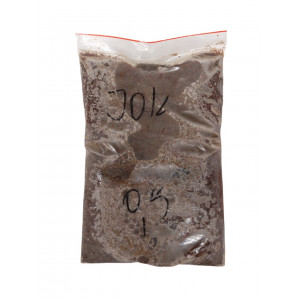 Ochotka zanętowa mrożona 0,5 kg