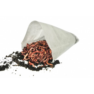 Dendrobenena MIX 200 szt