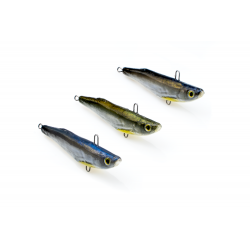 Cykada Boleniowa KS7