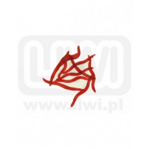 Sztuczne robaki DA14